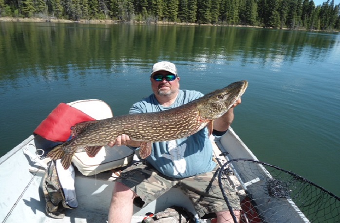 A man holding a pike in his hand while sitting on the boat.